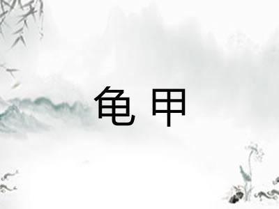 龟甲