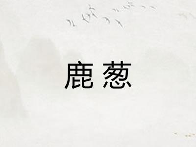 鹿葱