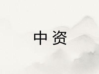 中资