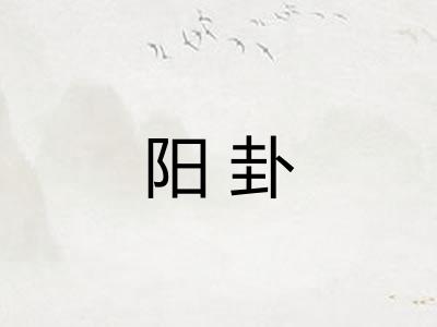 阳卦