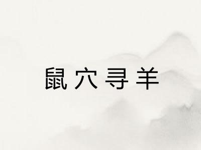 鼠穴寻羊