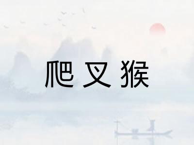 爬叉猴