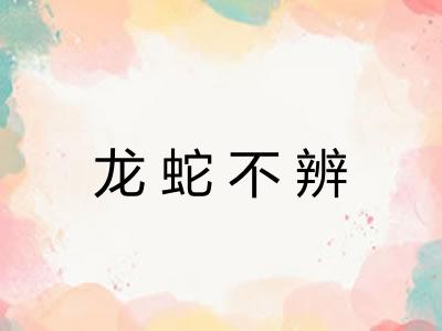 龙蛇不辨