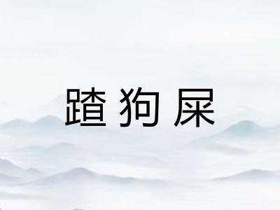 蹅狗屎