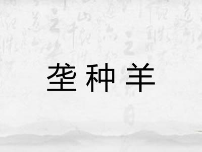 垄种羊