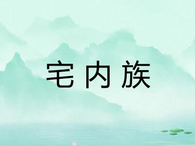 宅内族