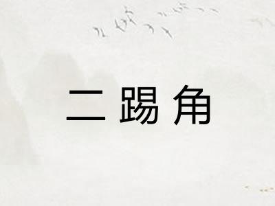 二踢角