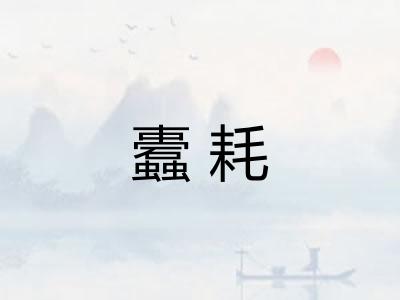 蠹耗