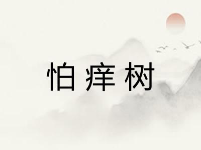 怕痒树