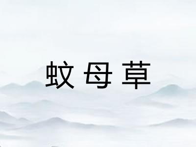 蚊母草