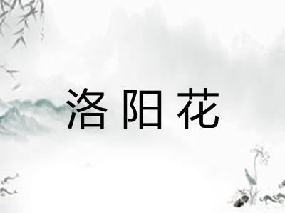 洛阳花