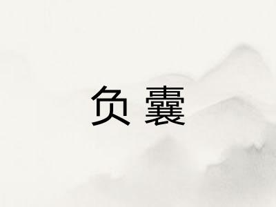负囊