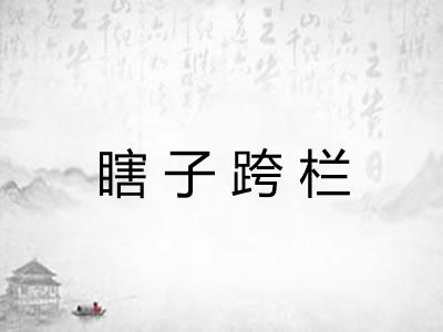 瞎子跨栏