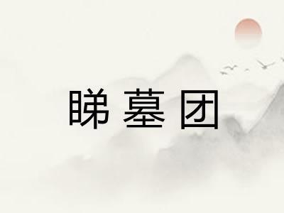 睇墓团