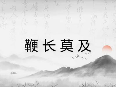 鞭长莫及