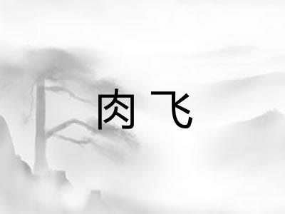 肉飞