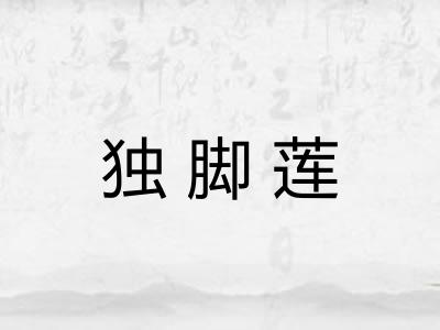 独脚莲
