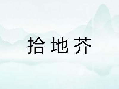 拾地芥