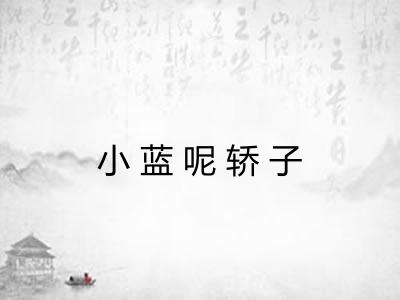 小蓝呢轿子