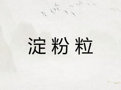 淀粉粒