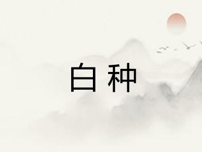 白种