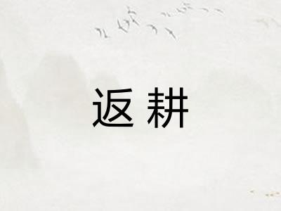 返耕