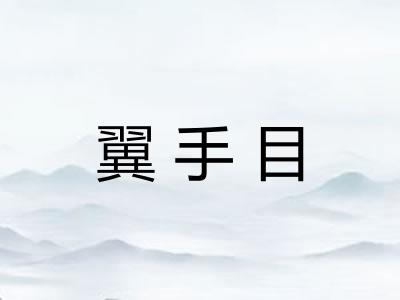 翼手目