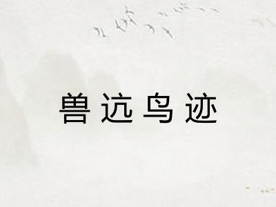 兽迒鸟迹