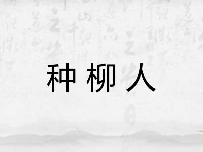 种柳人