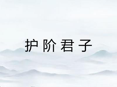 护阶君子