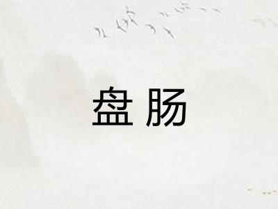 盘肠