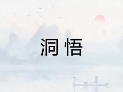 洞悟