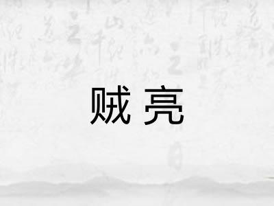 贼亮