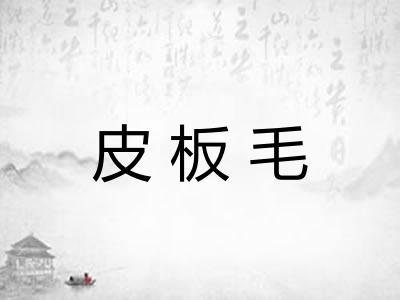 皮板毛