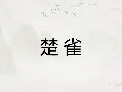 楚雀