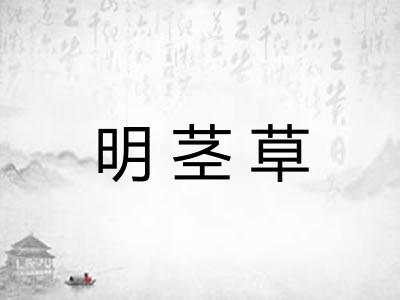 明茎草