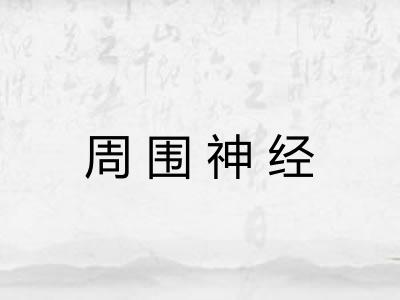 周围神经