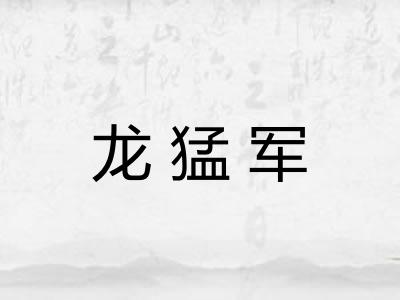 龙猛军