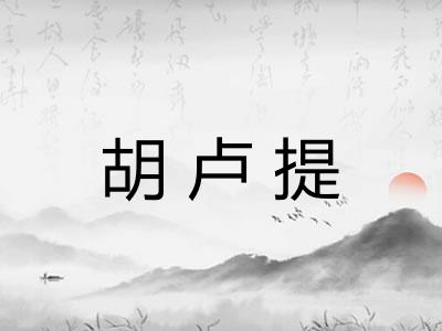 胡卢提