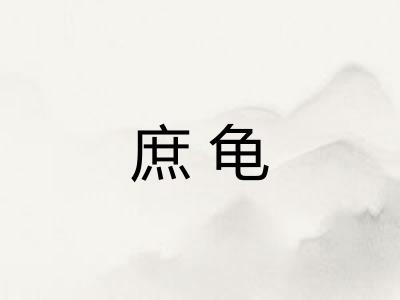 庶龟
