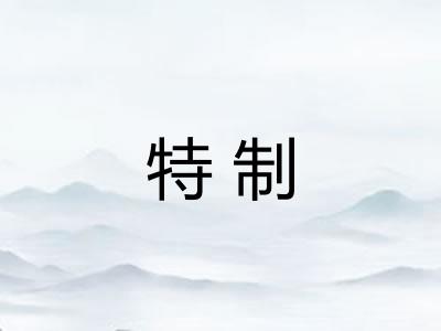 特制