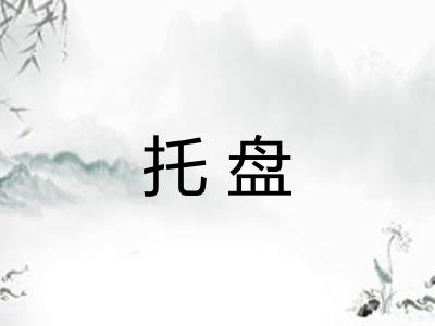 托盘