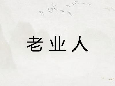 老业人