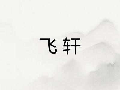 飞轩