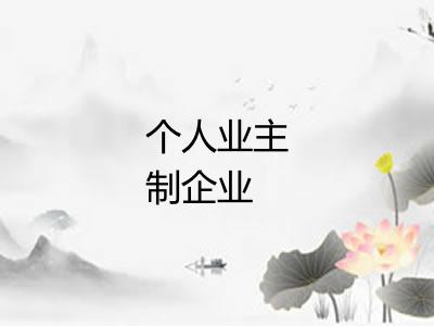 个人业主制企业