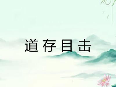 道存目击