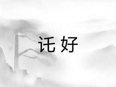 讬好