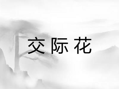 交际花
