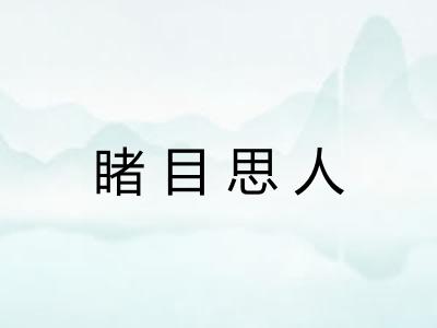 睹目思人