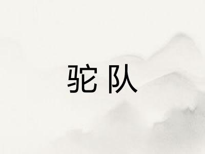 驼队
